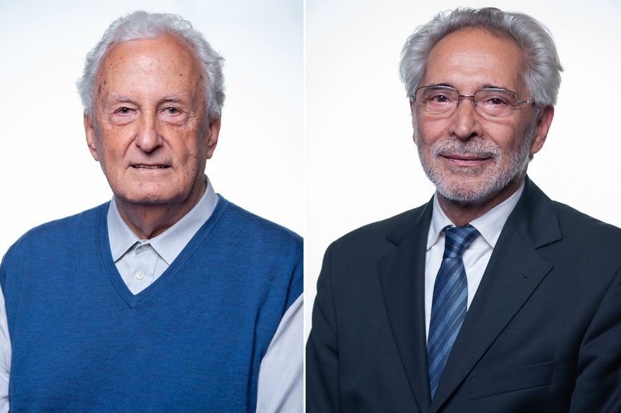 HOMENS PARLAMENTARES SOCIALISTAS CONTRA A VIOLÊNCIA DOMÉSTICA