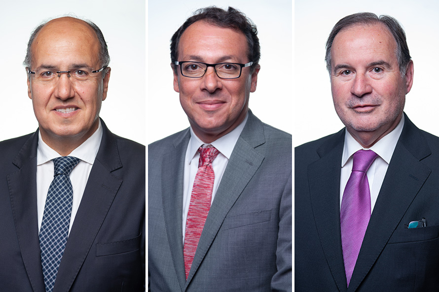 HOMENS PARLAMENTARES SOCIALISTAS CONTRA A VIOLÊNCIA DOMÉSTICA