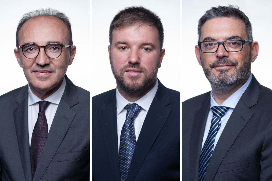 HOMENS PARLAMENTARES SOCIALISTAS CONTRA A VIOLÊNCIA DOMÉSTICA