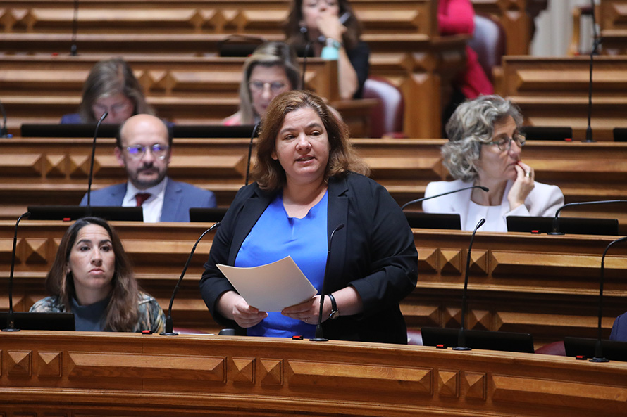 Diploma do PS permite que três milhões de famílias beneficiem com descida do IVA da eletricidade