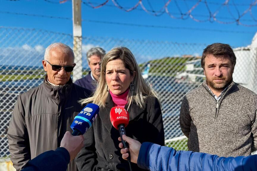 PS/Açores quer reforço das ligações aéreas para o Faial