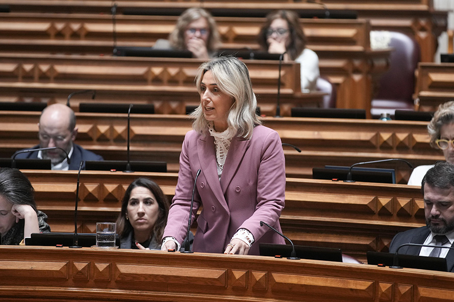 Parlamento aprova diploma que acaba com tratamento desigual entre docentes