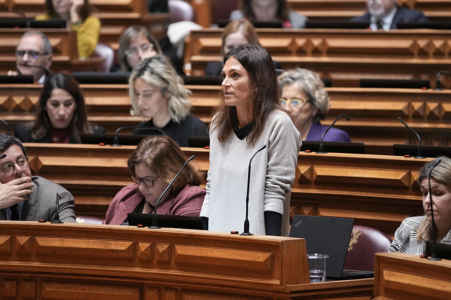 É urgente robustecer respeito pelos valores constitucionais para combater degradação do regime democrático