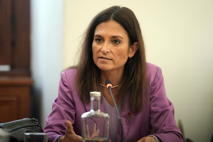 Não faz sentido mudar ideologicamente uma Constituição que permite governar à esquerda, ao centro e à direita