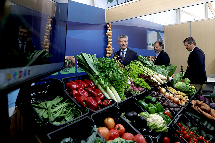 PS dá prioridade à valorização e capacitação do setor agrícola e florestal