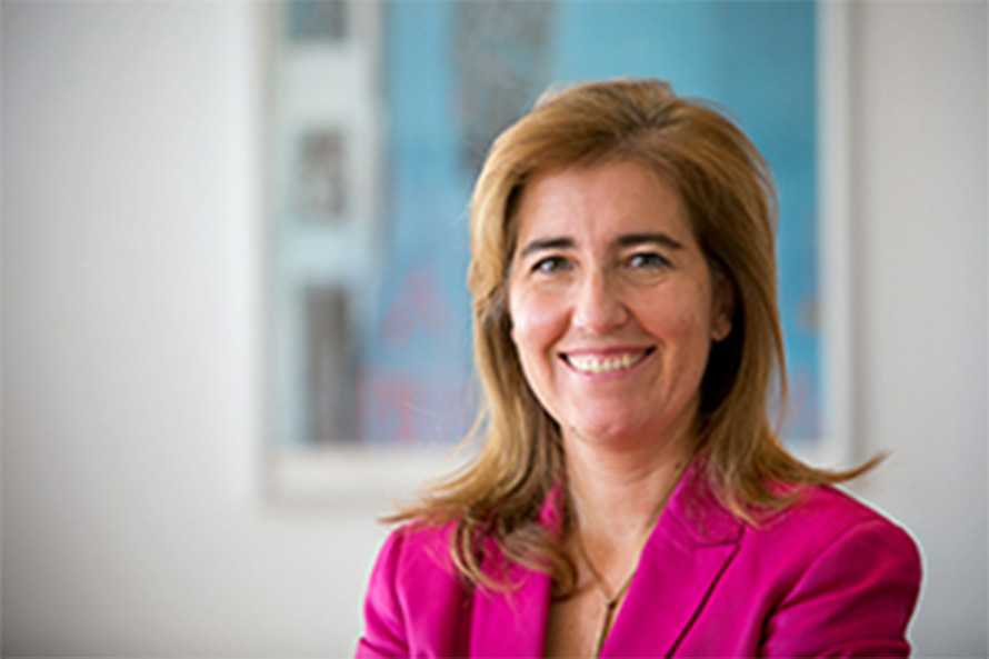 Rendimento Social de Inserção vai ter acesso simplificado