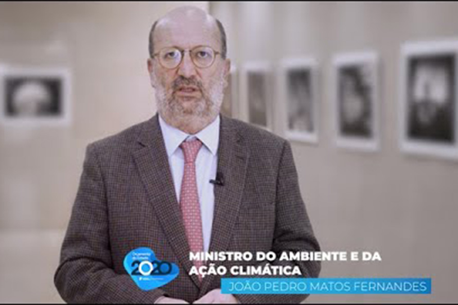 Ambiente: Aposta no transporte público e descarbonização da economia