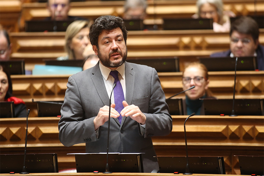 PS apresenta alteração ao regime sancionatório para crimes contra animais de companhia