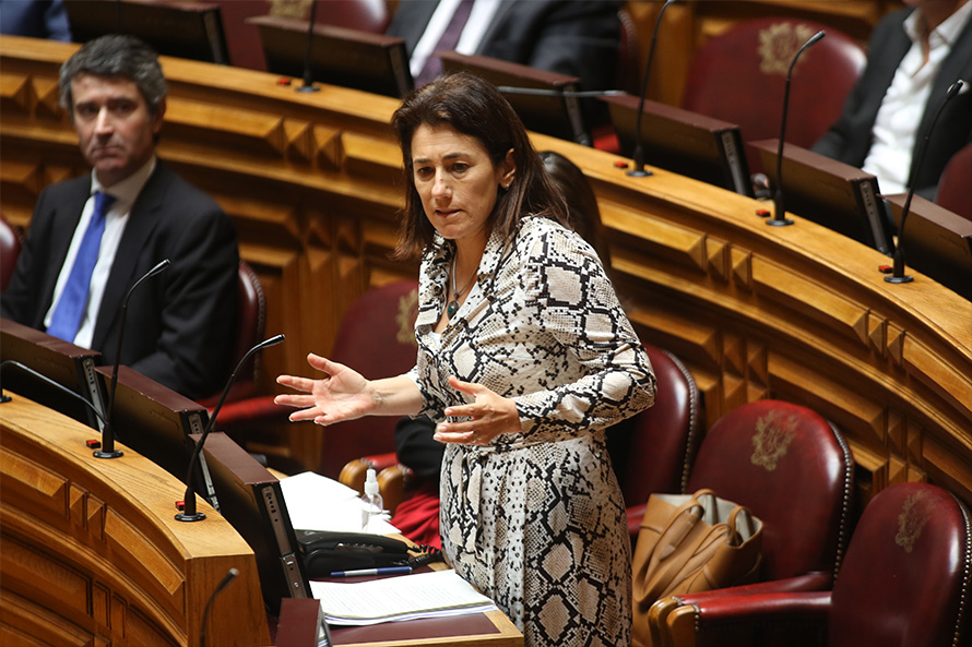 Luta contra a violência domestica é um desígnio de uma sociedade decente