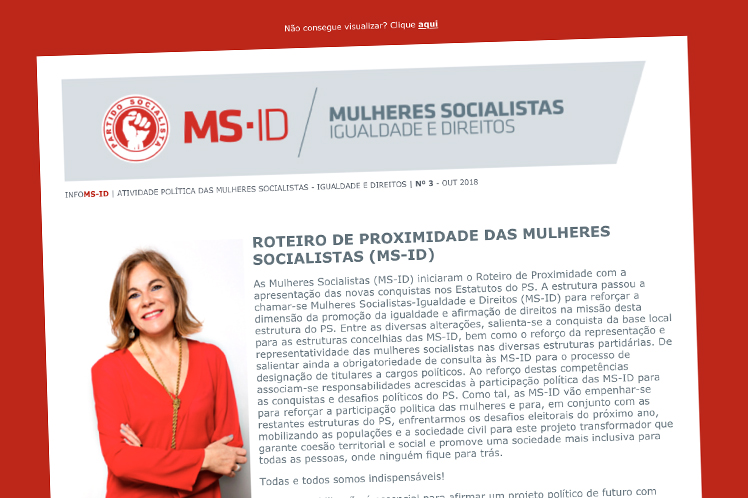 MS-ID: Newsletter nº3
