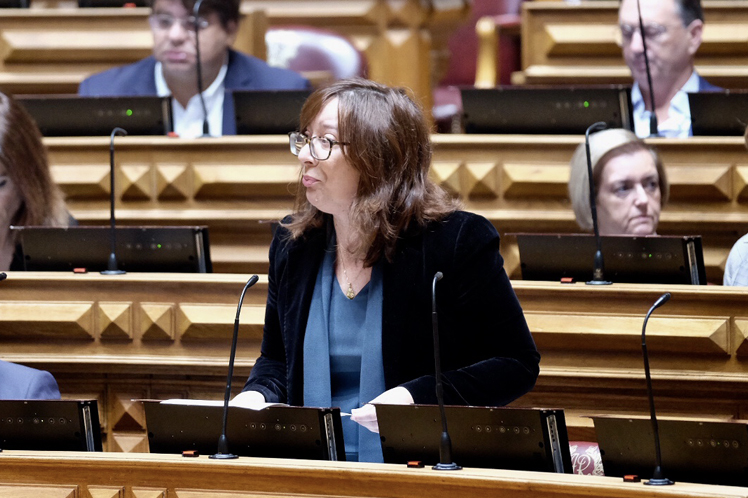 PS reforça proteção dos direitos das crianças e quer relatório anual