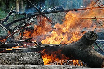 PS questiona MAI sobre criação de task force que duplica estruturas já existentes