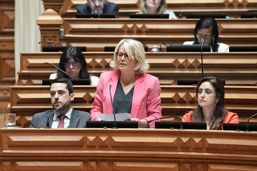 Edite Estrela quer saber qual o investimento de Portugal em Defesa
