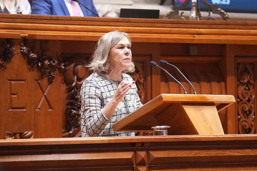 PS propõe que se prossiga a formação das forças de segurança e pede campanhas regulares