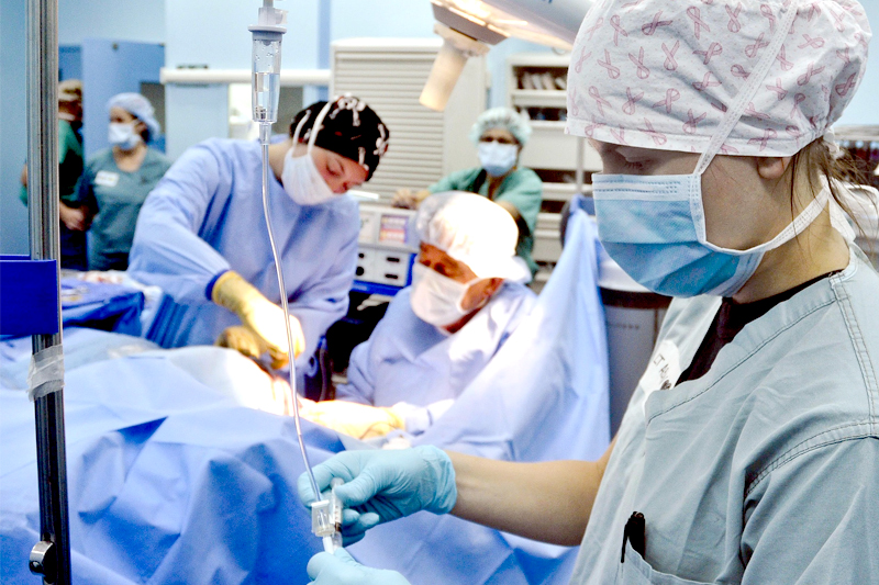 PS pede audição urgente de diretor executivo do SNS sobre atividade assistencial em 2026