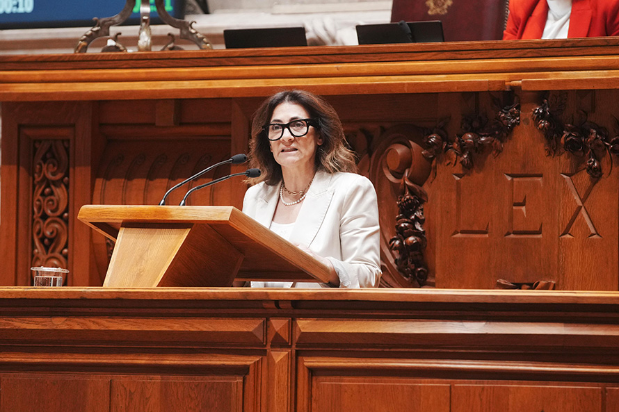 PS defende políticas públicas que respondam de forma mais próxima e informada
