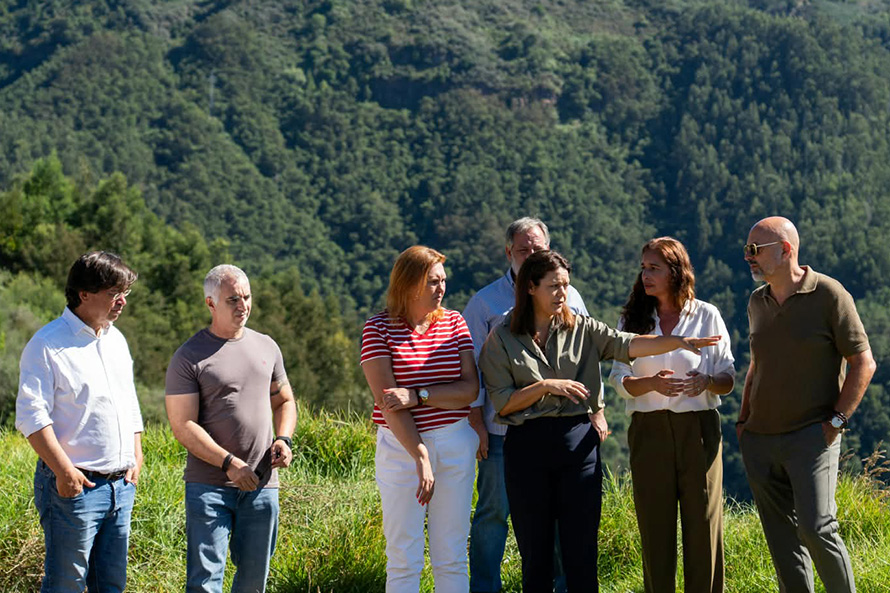 PS/Madeira exige estratégia contínua na prevenção de incêndios e critica “medidas avulsas”