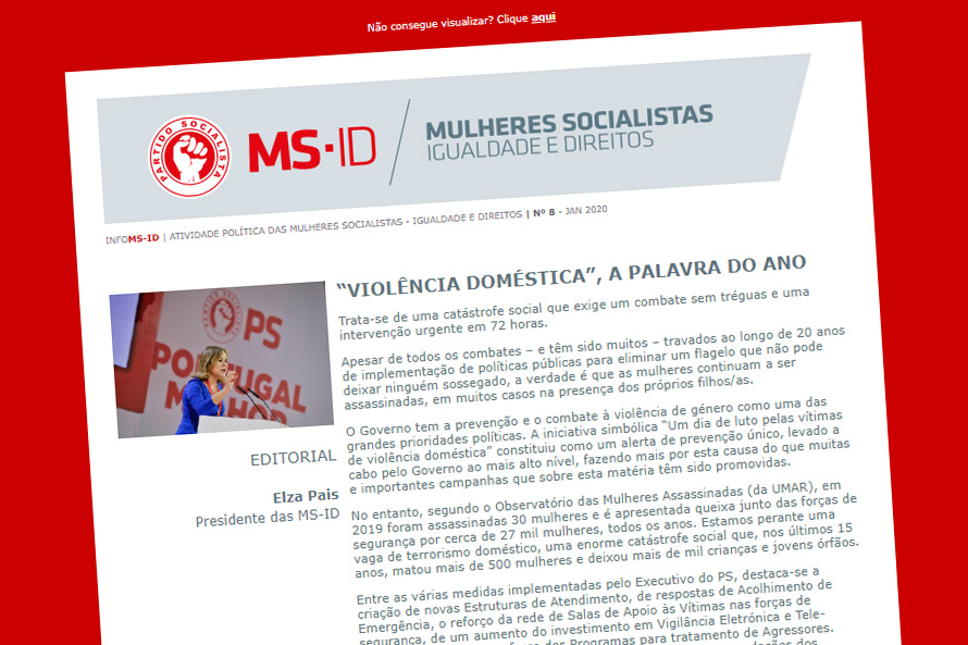 MS-ID: Newsletter nº8